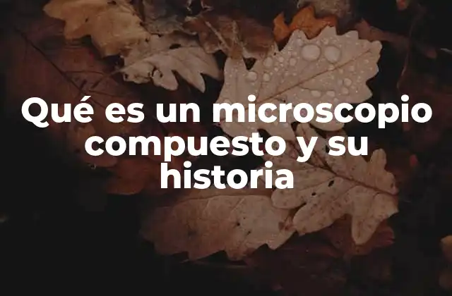 Qué es un Microscopio Compuesto y Su Historia 2 La evolución tecnológica del microscopio compuesto