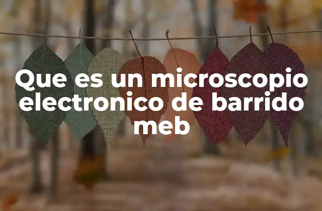 Que es un Microscopio Electronico de Barrido Meb