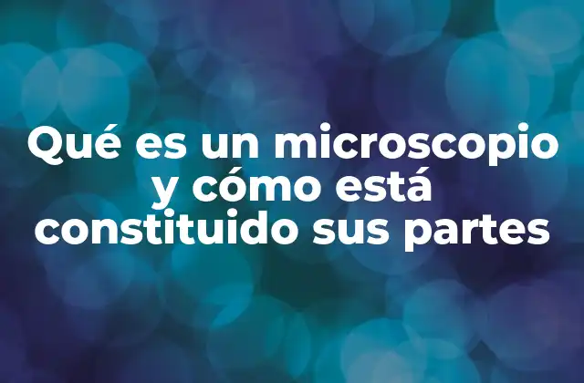 Qué es un Microscopio y Cómo Está Constituido Sus Partes