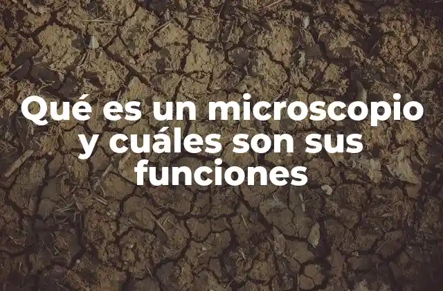 Qué es un Microscopio y Cuáles Son Sus Funciones