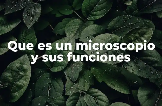 Que es un Microscopio y Sus Funciones