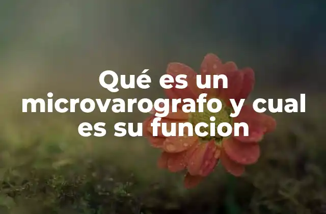 Qué es un Microvarografo y Cual es Su Funcion