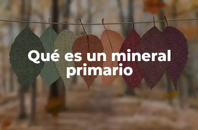 Qué es un Mineral Primario 2 La importancia de los minerales en la formación de las rocas