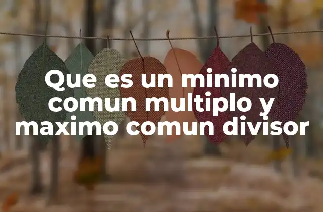 Que es un Minimo Comun Multiplo y Maximo Comun Divisor