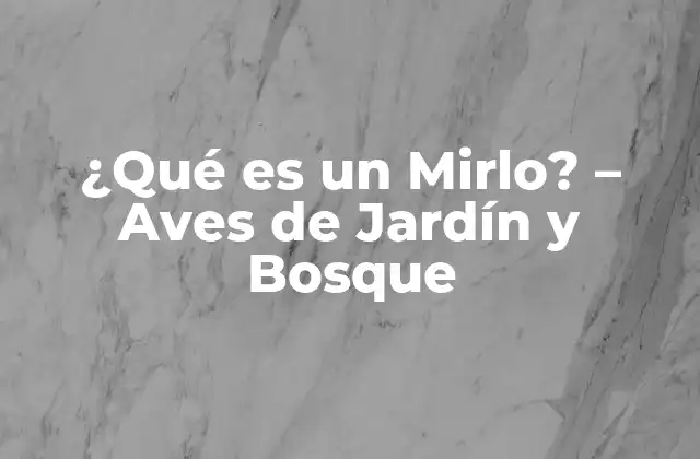 ¿qué es un Mirlo? – Aves de Jardín y Bosque