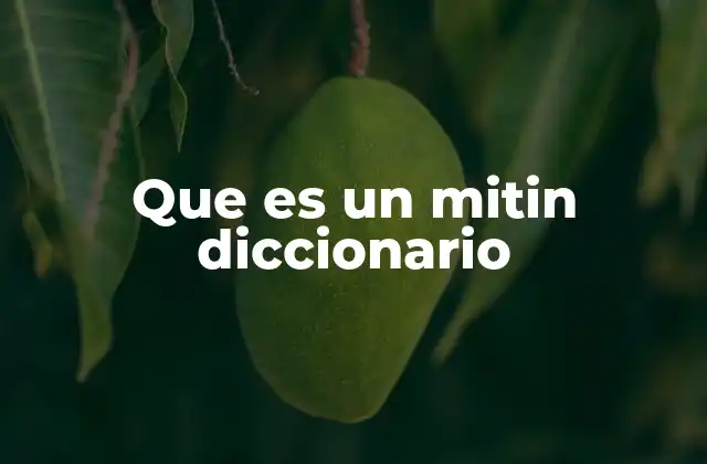Que es un Mitin Diccionario