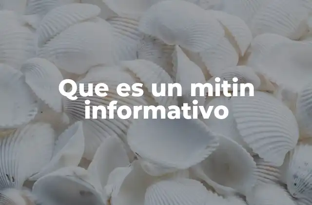 Que es un Mitin Informativo
