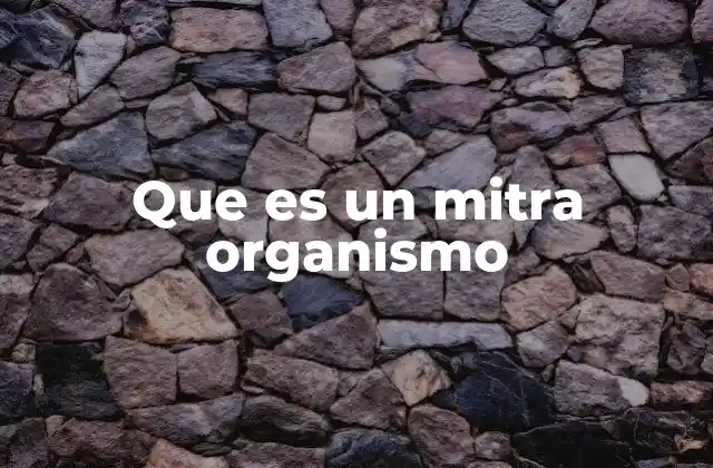Que es un Mitra Organismo