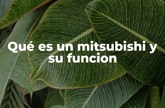 Qué es un Mitsubishi y Su Funcion
