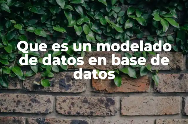 Que es un Modelado de Datos en Base de Datos