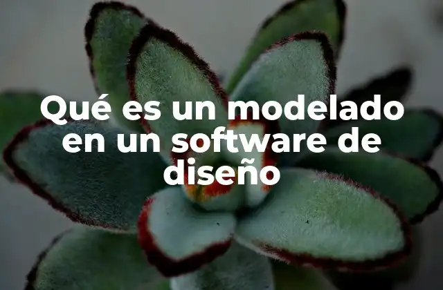 Qué es un Modelado en un Software de Diseño