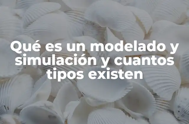 Qué es un Modelado y Simulación y Cuantos Tipos Existen