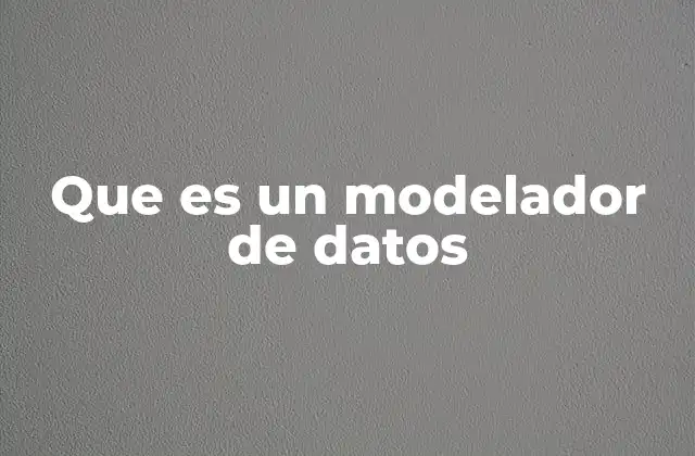 Que es un Modelador de Datos