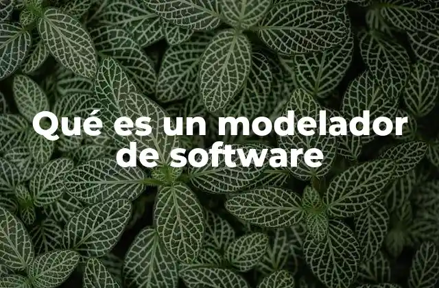 Qué es un Modelador de Software