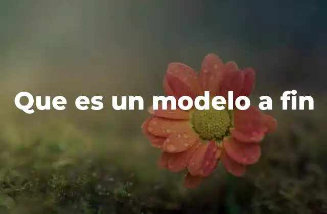 Que es un Modelo a Fin