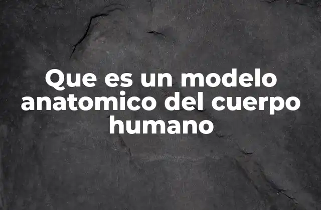 Que es un Modelo Anatomico Del Cuerpo Humano 2 La importancia de los modelos anatómicos en la educación médica