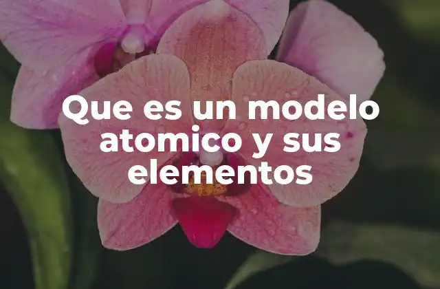 Que es un Modelo Atomico y Sus Elementos
