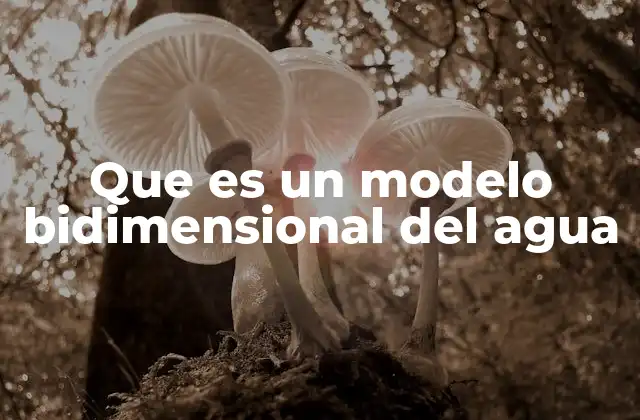 Que es un Modelo Bidimensional Del Agua