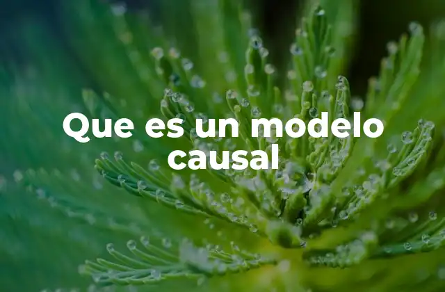 Que es un Modelo Causal