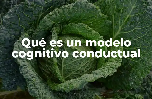 Qué es un Modelo Cognitivo Conductual