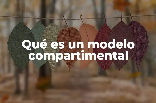 Qué es un Modelo Compartimental