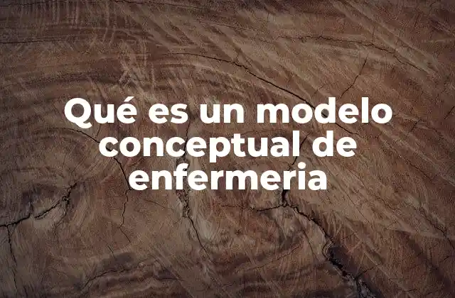 Qué es un Modelo Conceptual de Enfermeria