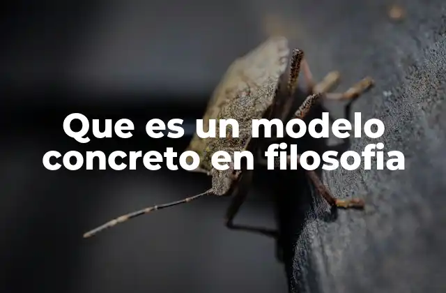 Que es un Modelo Concreto en Filosofia
