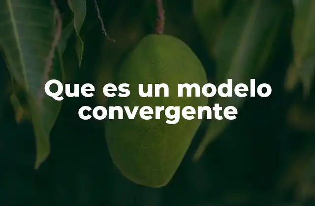 Que es un Modelo Convergente