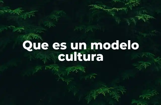 Que es un Modelo Cultura 2 Cómo se construye una visión estructurada de una cultura
