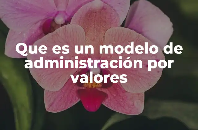 Que es un Modelo de Administración por Valores