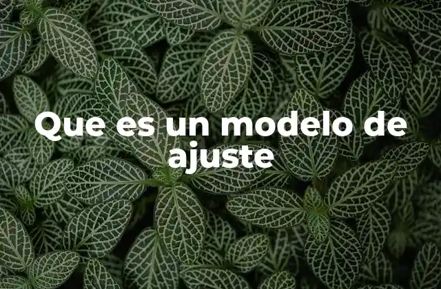 Que es un Modelo de Ajuste