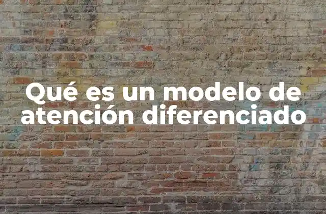 Qué es un Modelo de Atención Diferenciado