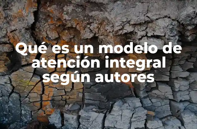 Qué es un Modelo de Atención Integral según Autores