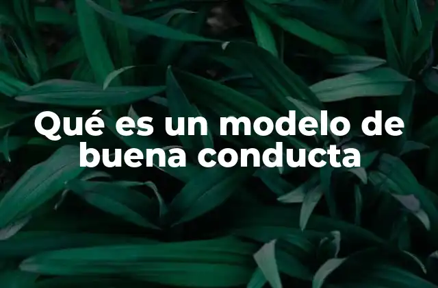 Qué es un Modelo de Buena Conducta