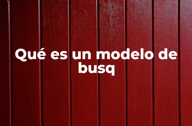 Qué es un Modelo de Busq