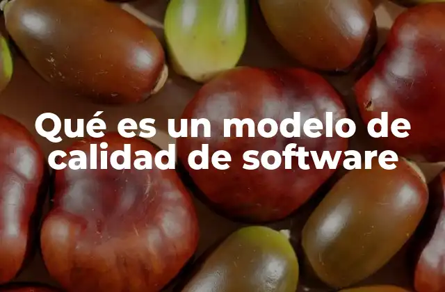 Qué es un Modelo de Calidad de Software 2 Cómo los modelos de calidad guían el desarrollo de software
