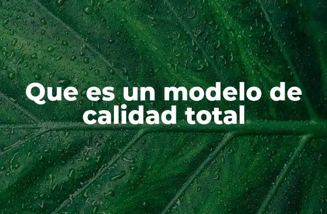 Que es un Modelo de Calidad Total