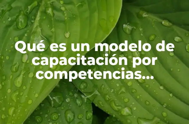 Qué es un Modelo de Capacitación por Competencias Medulares
