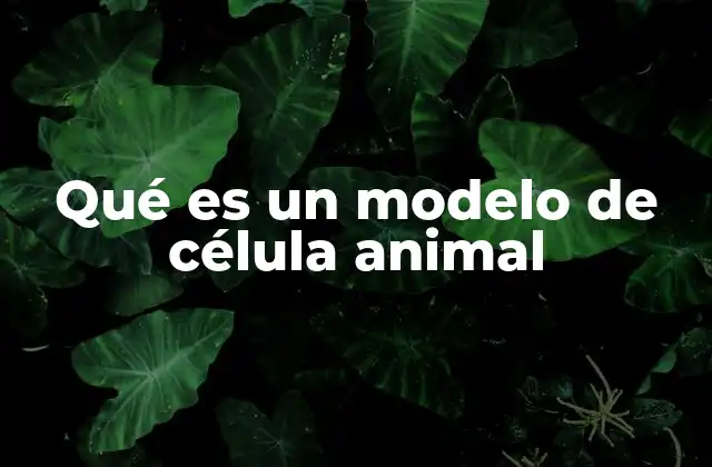 Qué es un Modelo de Célula Animal
