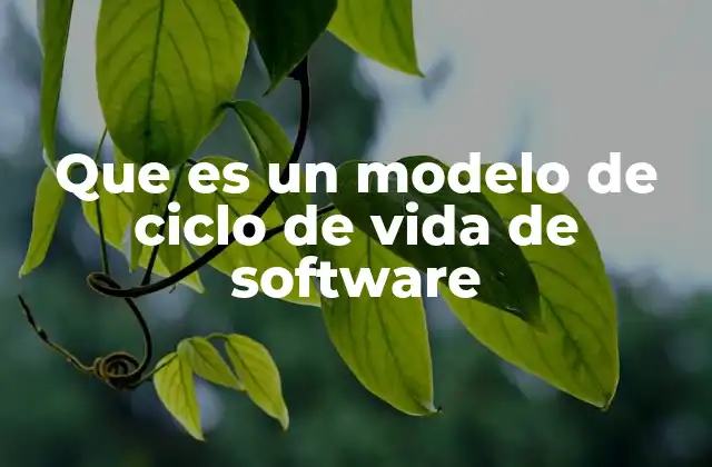 Que es un Modelo de Ciclo de Vida de Software