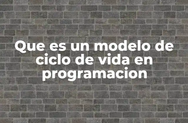 Que es un Modelo de Ciclo de Vida en Programacion