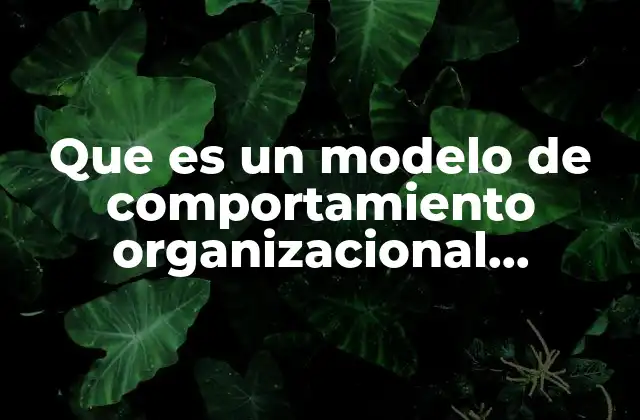 Que es un Modelo de Comportamiento Organizacional Emergente