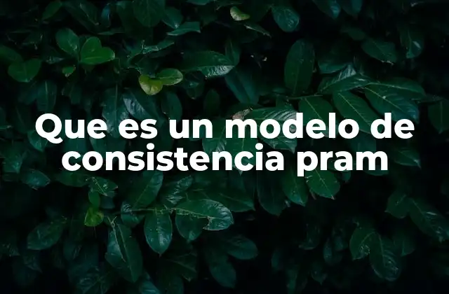 Que es un Modelo de Consistencia Pram