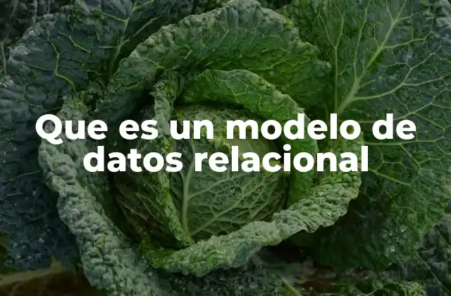 Que es un Modelo de Datos Relacional 2 La base lógica detrás del modelo relacional