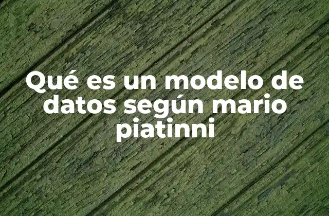 Qué es un Modelo de Datos según Mario Piatinni