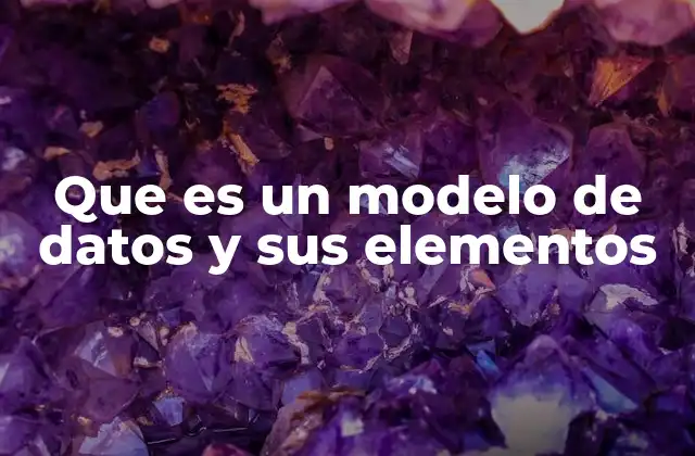 Que es un Modelo de Datos y Sus Elementos
