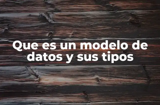 Que es un Modelo de Datos y Sus Tipos