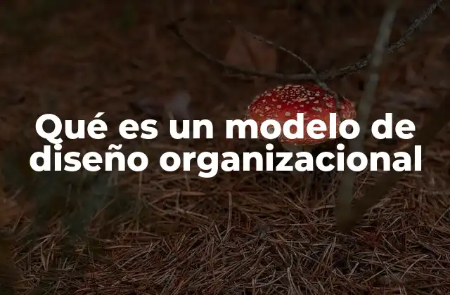 Qué es un Modelo de Diseño Organizacional 2 Cómo la estructura organizacional afecta el funcionamiento de una empresa