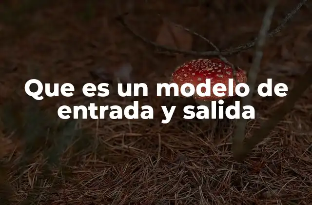 Que es un Modelo de Entrada y Salida