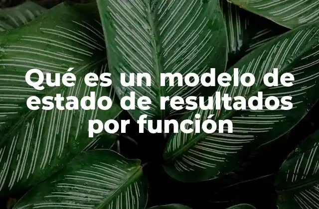 Qué es un Modelo de Estado de Resultados por Función